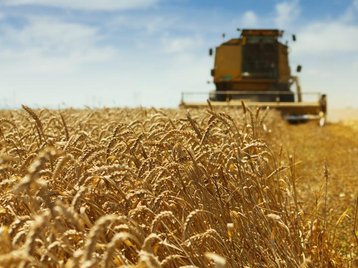 Siding 16 Lodge | Wetaskiwin | 7